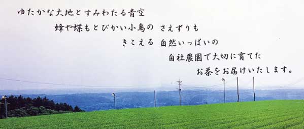 内容2-3