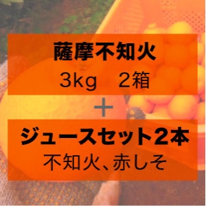薩摩不知火　3kg　2箱 + ジュース2本（不知火、赤しそ）（S2J2）